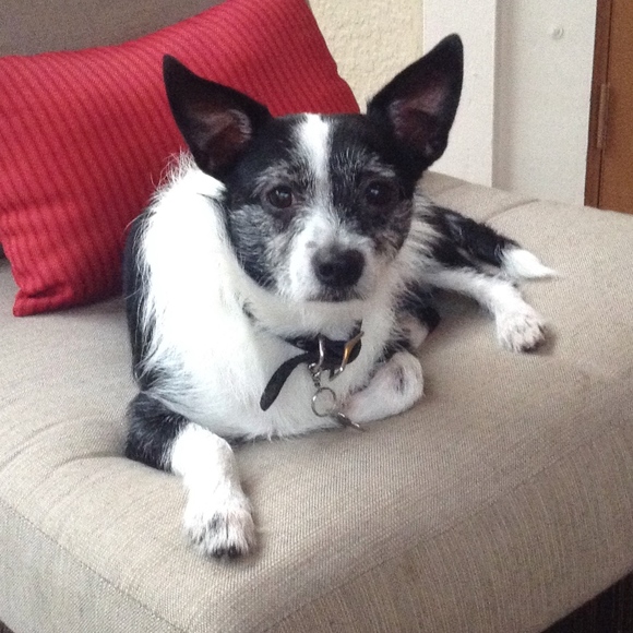 Meet your Posher, Joelle - Picture 5 of 7